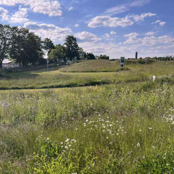 Discgolf bei Laola Korbach
